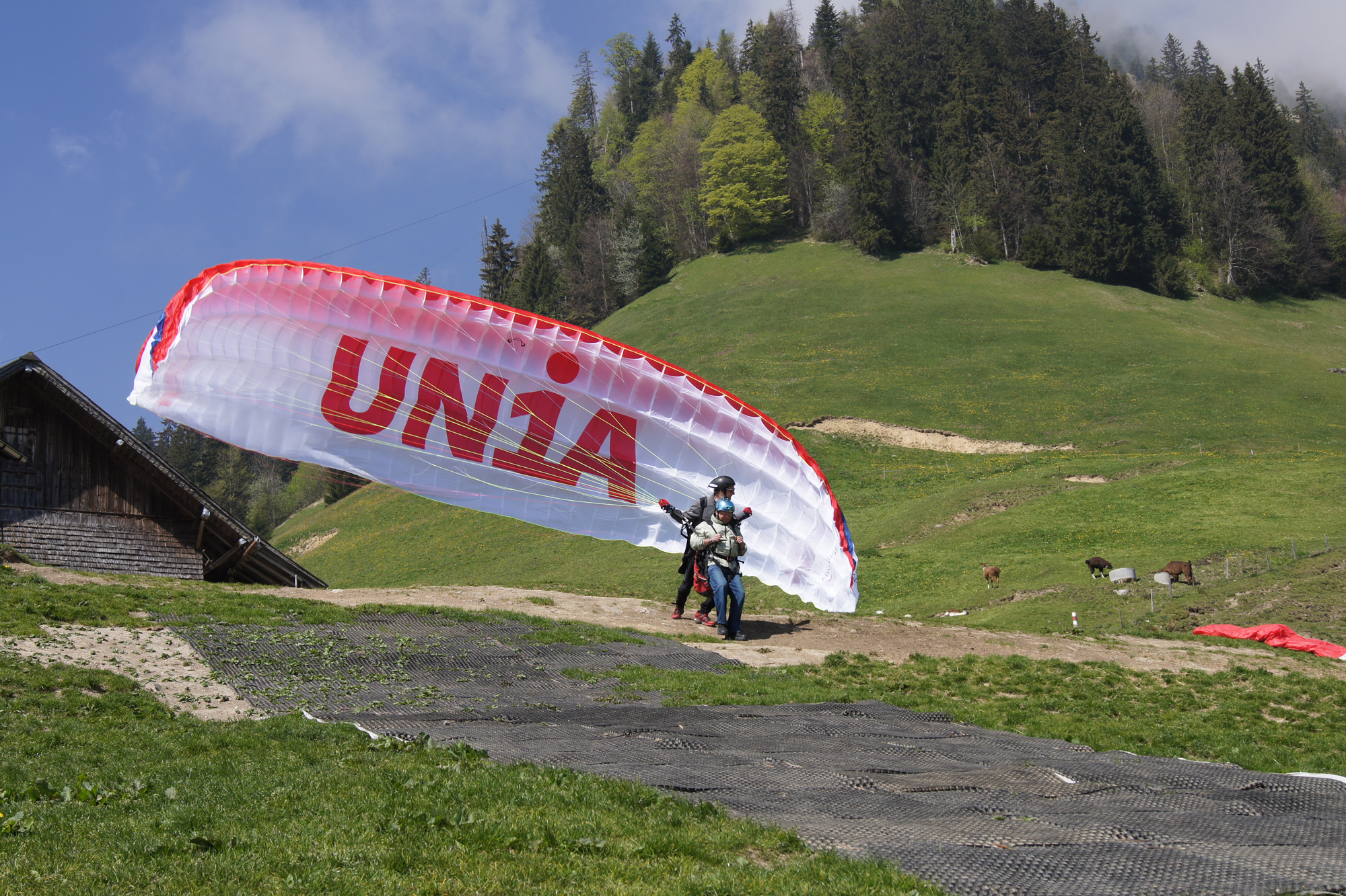 [Translate to Türkçe:] 2 Fallschirmspringer am Start für einen Tandem-Sprung mit weissrotem Fallschirm mit der Aufschrift "Unia"